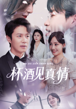 杯酒见真情（68集）一共多少集