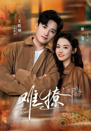 难撩（100集）独家资源免费看