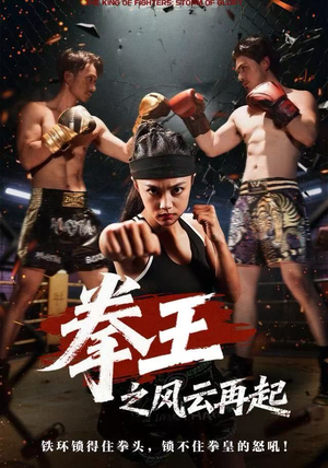 拳王之风云再起（50集）短剧