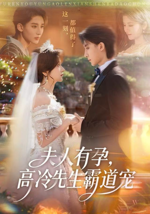 夫人有孕，高冷先生霸道宠（60集）超级好看的短剧