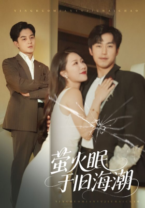 萤火眠于旧海潮（63集）无需会员轻松看