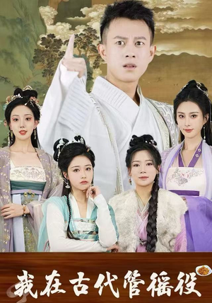 假官真坐（95集）全集都在这里了