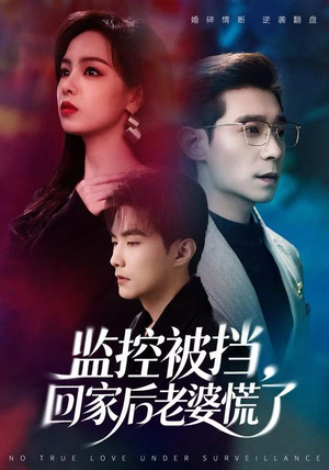 监控被挡，回家后老婆慌了（60集）无需会员免费看