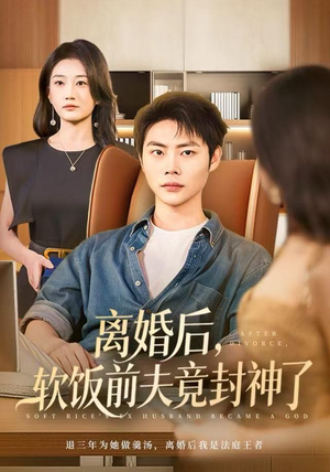 离婚后，软饭前夫竟封神了（78集）剧情简介