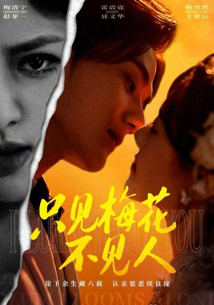 只见梅花不见人（63集）百度在线观看