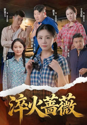 淬火蔷薇（50集）温柔追捕短剧