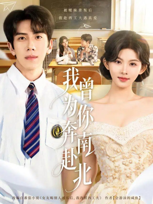 我曾为你奔南赴北(60集) 我曾为你奔南赴北(60集)在线看