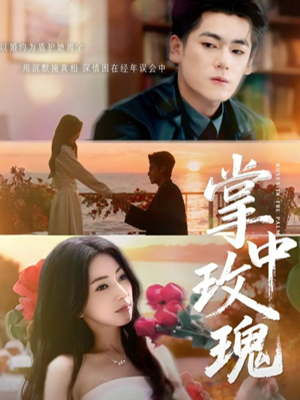 掌中玫瑰（60集）海量短剧免费看