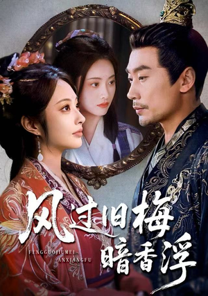 风过旧梅暗香浮（75集）经典老剧免费看