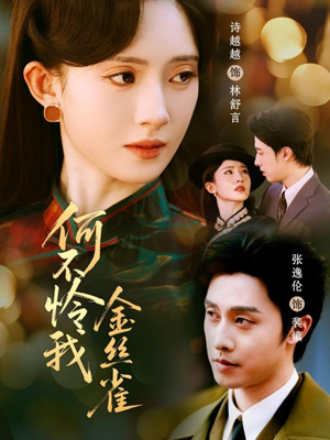 何不怜我金丝雀（60集）免费短剧推荐