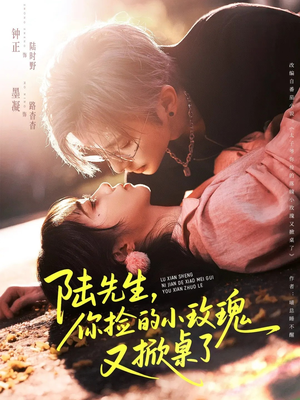 陆先生，你捡的小玫瑰又掀桌了（74集）每日分享短剧