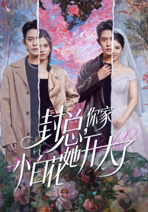 大佬你的牙粘口红了（60集）短剧在哪个平台