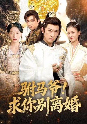 驸马爷！求你别离婚（80集）高清画质免费看