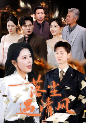 离婚而已（74集）最新上映免费看