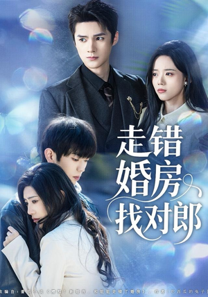 走错婚房找对郎（50集）火爆短剧推荐