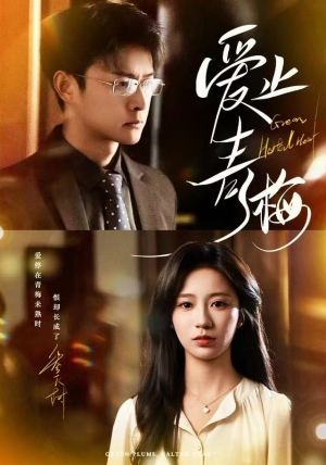 爱止青梅（60集）精彩短剧来了