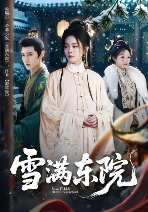 雪满东院(60集) 雪满东院(60集)短剧解说全集