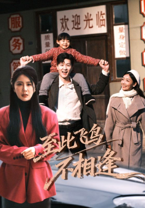 至此飞鸟不相逢（70集）短剧推荐分享