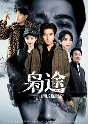 龙抬头1：莫欺少年穷（100集）短剧全集完整版