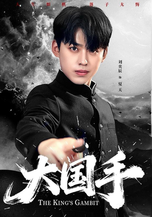 大国手（76集）短剧爆款推荐