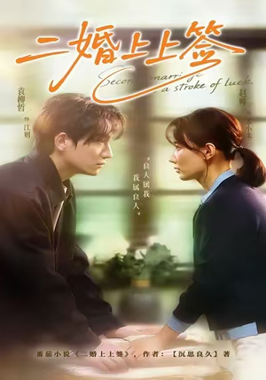 二婚上上签(71集) 二婚上上签(71集)全剧免费观看