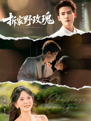 拆家野玫瑰（80集）这短剧太好看了