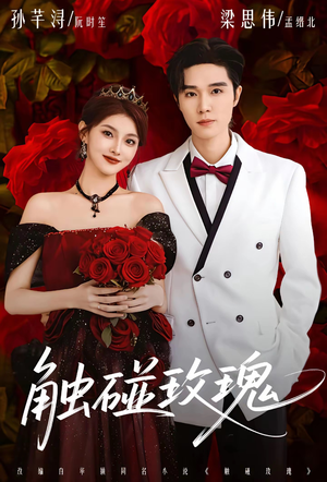 触碰玫瑰（80集）热门短剧抢先