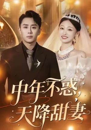 中年不惑，天降甜妻（60集）西瓜短剧免费看