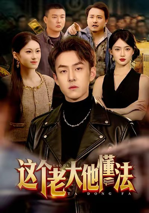 这个老大他懂法（100集）新短剧推荐