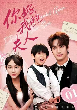 你好，我的夫人（65集）热门短剧分享