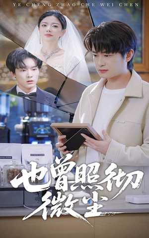 也曾照彻微尘(60集) 也曾照彻微尘(60集)大结局一气呵成