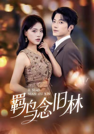 羁鸟念旧林（60集）免费观看