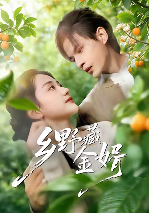 乡野藏金婿（50集）精彩短剧推荐