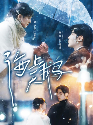 海上天鹅（70集）短剧热门分享