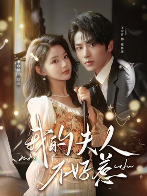 我的夫人不好惹（60集）高清无码免费看