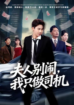 夫人别闹我只做司机（80集）热门短剧榜单
