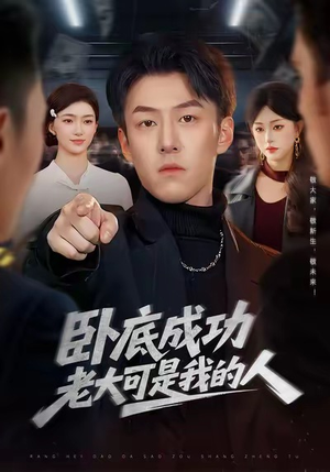 卧底成功老大可是我的人（99集）女主角是谁