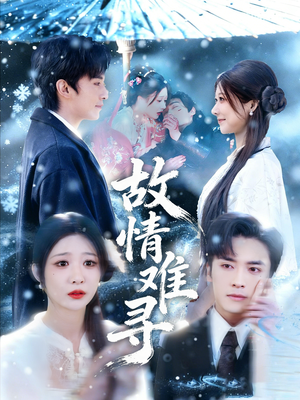 故情难寻（58集）百度网盘资源