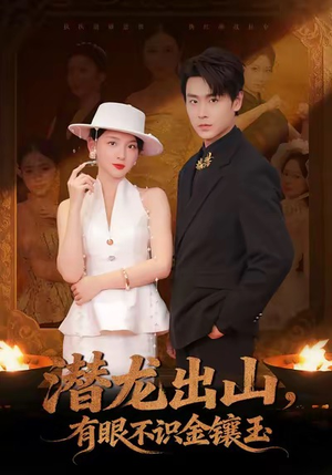 潜龙出山有眼不识金镶玉（78集）精彩短剧分享