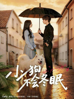 小狗不会冬眠（70集）百亿短剧抢先看