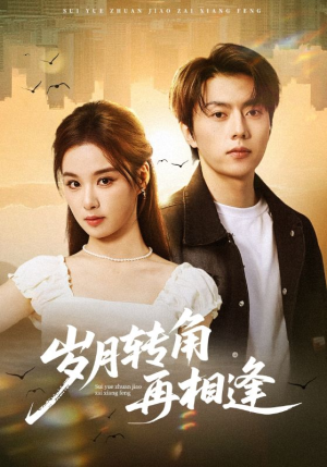 岁月转角再相逢（80集）免费观看