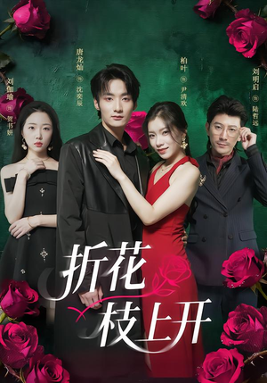 折花枝上开（51集）真的太精彩了