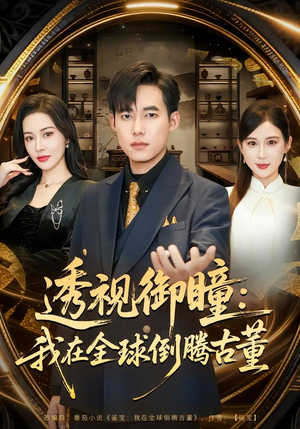 透视御瞳：我在全球倒腾古董（80集）流畅播放免费看