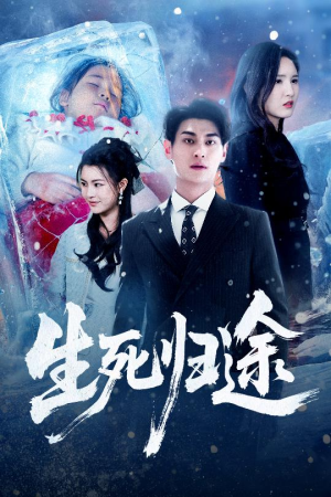 生死归途（50集）在哪里可以全集