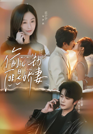 偷心劫匪是娇妻（61集）民国短剧推荐