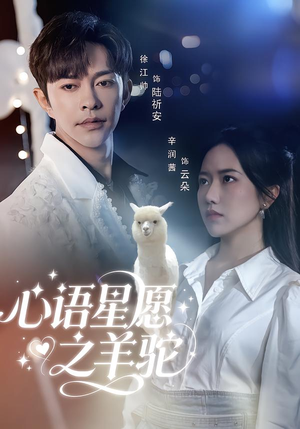 心语星愿之羊驼（60集）一个短剧看全集