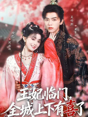 王妃临门全城上下有喜了（66集）短剧热门合集