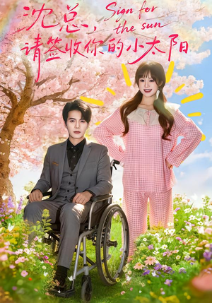 沈总，请签收你的小太阳（80集）免费在线看全集