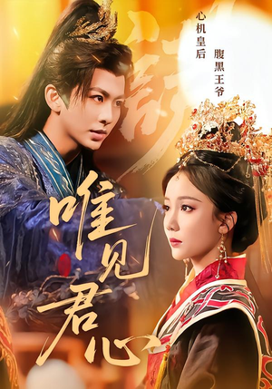 唯见君心（90集）全集下载