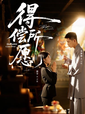 得偿所愿（65集）高清无码免费看